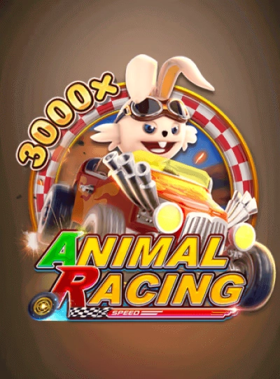 dm999